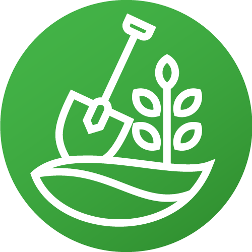 Icon1