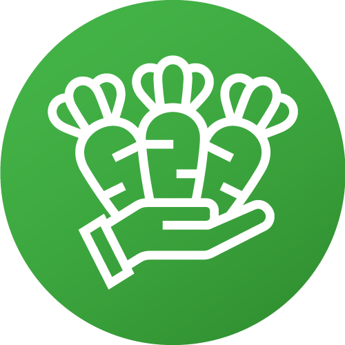 Icon5