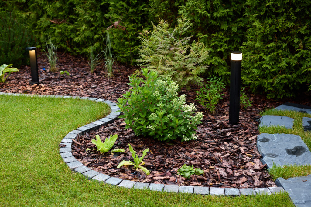 Landscaping bed with mulch and edging.
